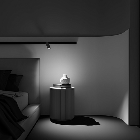 Трековый магнитный светодиодный светильник Maytoni EXILITY Focus LED TR032-2-12W2.7K-M-B