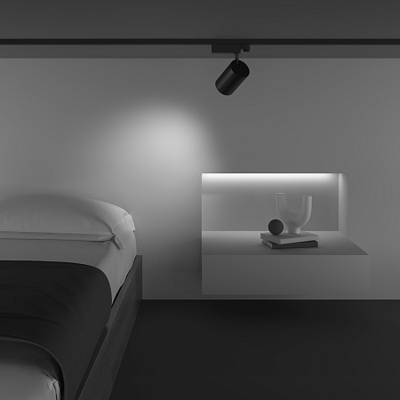 Трековый трехфазный светодиодный светильник TRINITY Maytoni Focus Led TR029-3-10W4K-B-1