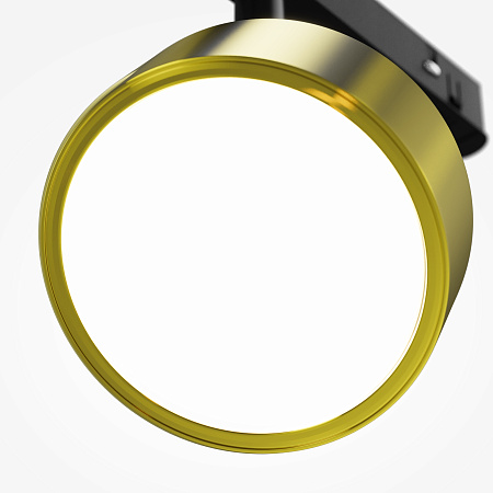 Трековый магнитный светодиодный светильник Maytoni Rado TR040-2-18W4K-BBS