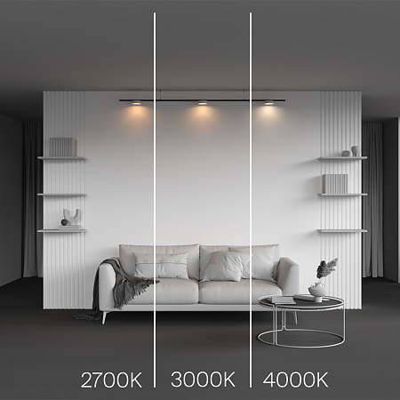 Трековый магнитный светодиодный светильник Maytoni Levity Zon TR189-1-12W4K-BW