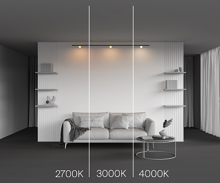 Трековый магнитный светодиодный светильник Maytoni Levity Luna TR185-1-3W3K-B