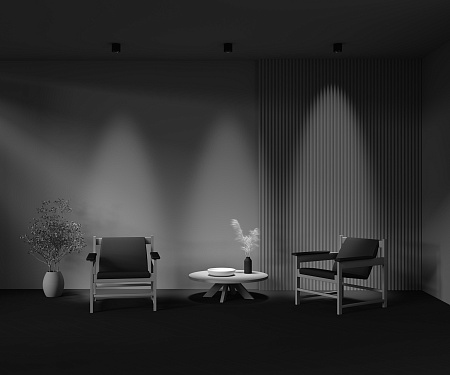 Светильник потолочный светодиодный Maytoni Lens C217CL-15W3K-B