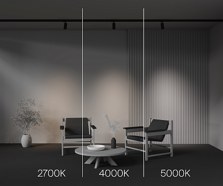 Трековый трехфазный светодиодный светильник Maytoni Trinity Focus Led TR197-3-12WCCT-M-B Трековый трехфазный светодиодный светильник Maytoni Trinity Focus Led TR197-3-12WCCT-M-B