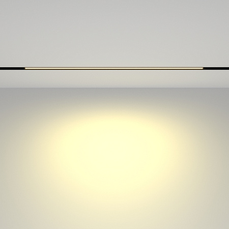 Трековый магнитный светодиодный светильник Maytoni EXILITY Basis TR030-2-24W2.7K-B Трековый магнитный светодиодный светильник Maytoni EXILITY Basis TR030-2-24W2.7K-B