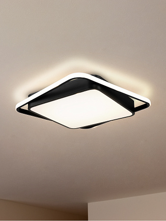 Светильник настенно-потолочный светодиодный Freya Arvin FR10030CL-L88B Светильник настенно-потолочный светодиодный Freya Arvin FR10030CL-L88B