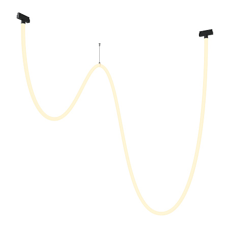 Трековый магнитный однофазный светодиодный светильник Maytoni Exility TR101-2-100W3K-B Трековый магнитный однофазный светодиодный светильник Maytoni Exility TR101-2-100W3K-B