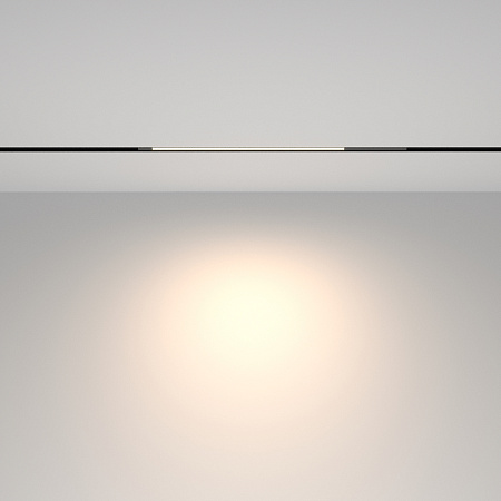 Трековый магнитный светодиодный светильник Maytoni Exility Basis TR231-2-10W4K-B