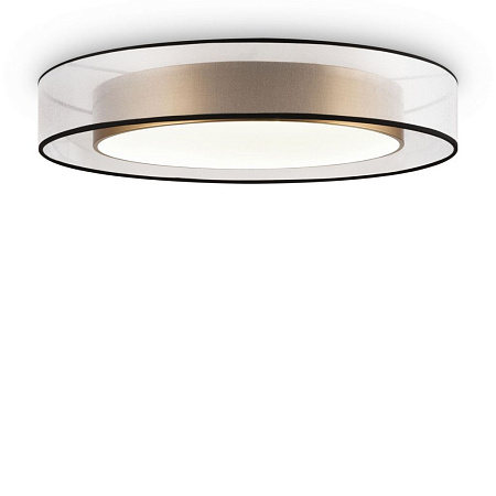 Потолочный светодиодный светильник Freya Zoticus FR6005CL-L48G