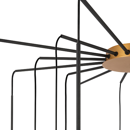 Люстра подвесная Maytoni Branch MOD176PL-16G