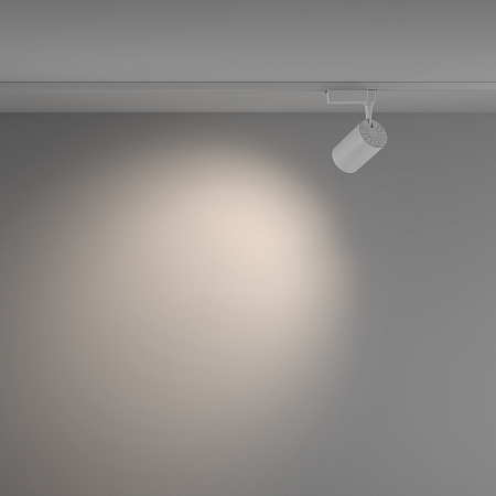 Трековый однофазный светодиодный светильник Maytoni Unity Vuoro TR003-1-15W4K-W-W