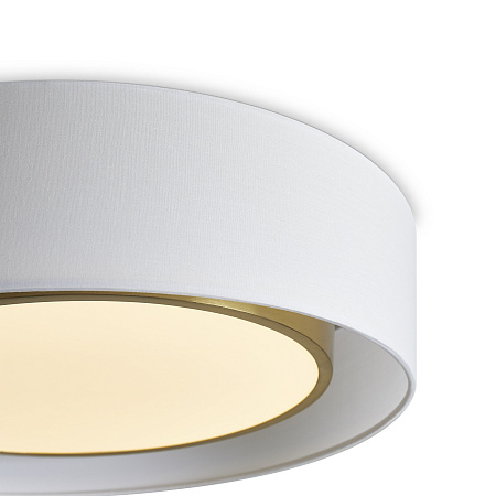 Светильник потолочный светодиодный Freya Cozy FR6170CL-L52BS