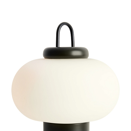 Настольная лампа светодиодная Freya Take FR6175TL-L10B