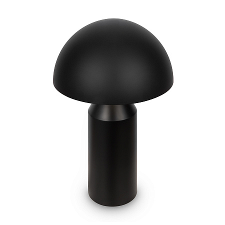 Настольная лампа Freya Eleon FR5218TL-02B1 Настольная лампа Freya Eleon FR5218TL-02B1