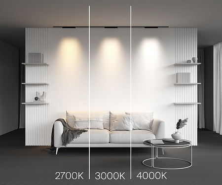 Трековый магнитный светодиодный светильник Maytoni Levity Points TR193-1-15W4K-M-B