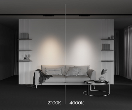 Трековый трехфазный светодиодный светильник Maytoni Trinity Points TR195-3-10W4K-M-B