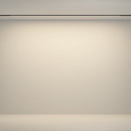 Трековый магнитный светодиодный светильник Maytoni Basity Flex TR180-1-24WTW-B