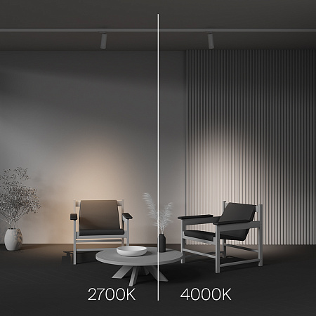 Трековый трехфазный светодиодный светильник Maytoni Trinity Focus Zoom TR198-3-20W2.7K-Z-W