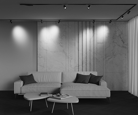 Трековый магнитный светодиодный светильник Maytoni Exility X Focus Led TR243-4-12WTW-DD2-B