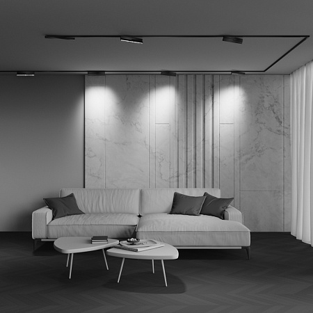 Трековый магнитный светодиодный светильник Maytoni Exility X Points Rot TR242-2-12W4K-B