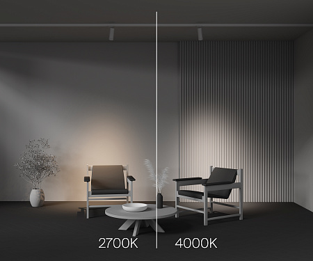 Трековый трехфазный светодиодный светильник Maytoni Trinity Focus Zoom TR198-3-20W4K-Z-W