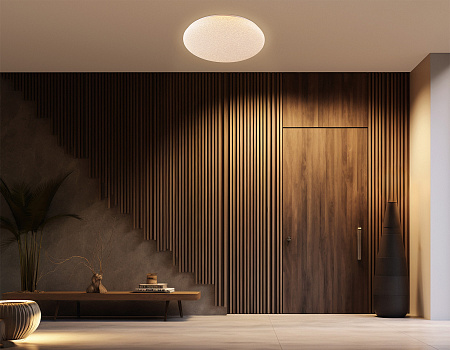 Светильник потолочный светодиодный Orbital FZ1751 Светильник потолочный светодиодный Orbital FZ1751