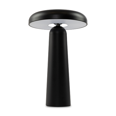 Настольная лампа светодиодная Freya Mushroom FR6109TL-L4B
