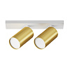 Спот Maytoni FOCUS S C051CL-U-2WMG