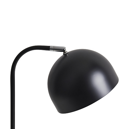 Настольная лампа Freya Unique FR5279TL-01B Настольная лампа Freya Unique FR5279TL-01B