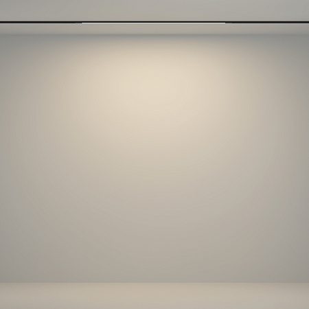 Трековый магнитный светодиодный светильник Maytoni Basity Flex TR180-1-12WTW-B Трековый магнитный светодиодный светильник Maytoni Basity Flex TR180-1-12WTW-B