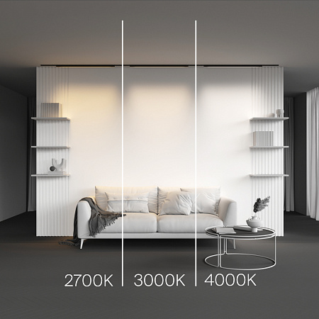 Трековый магнитный светодиодный светильник Maytoni Levity Basis TR192-1-21W4K-B Трековый магнитный светодиодный светильник Maytoni Levity Basis TR192-1-21W4K-B