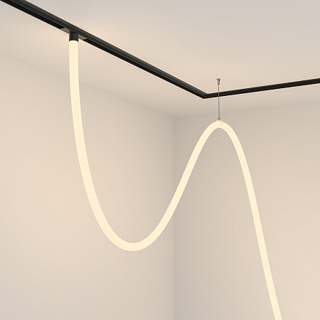 Трековый магнитный однофазный светодиодный светильник Maytoni Exility TR101-2-100W3K-B Трековый магнитный однофазный светодиодный светильник Maytoni Exility TR101-2-100W3K-B