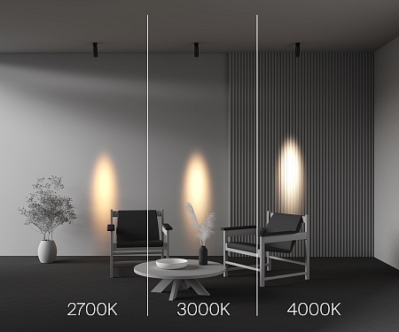 Спот Maytoni FOCUS LED C055CL-L12W3K-SS-B