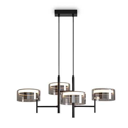 Люстра подвесная светодиодная Freya Tower FR5536PL-L14B