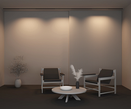 Трековый магнитный светодиодный светильник Maytoni Basity Points TR174-1-24WTW-M-B