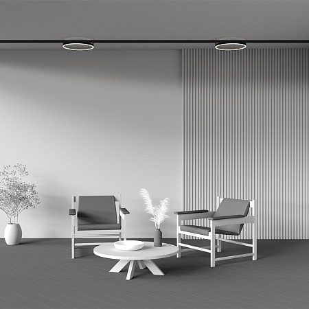 Трековый магнитный светодиодный светильник Maytoni Exility Rim TR227-2-24W4K-B