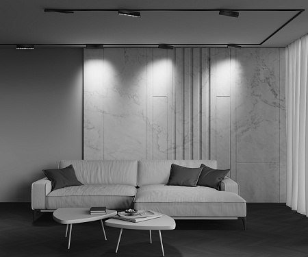 Трековый магнитный светодиодный светильник Maytoni Exility X Points Rot TR242-2-12W4K-B