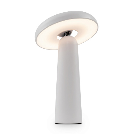 Настольная лампа светодиодная Freya Mushroom FR6109TL-L4W