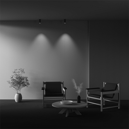 Светильник потолочный светодиодный Maytoni FOCUS LED C056CL-L12W4K-W-BS