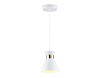 Светильник подвесной Ambrella light TR8465