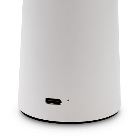 Настольная лампа светодиодная Freya Mushroom FR6109TL-L4W