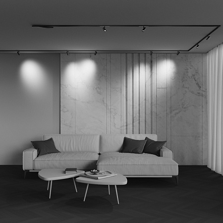 Трековый магнитный светодиодный светильник Maytoni Exility X Focus Led TR243-5W4K-B