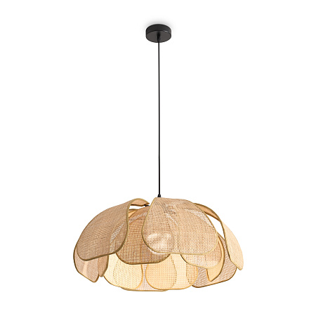 Светильник подвесной Freya Cocoon FR5529PL-01B