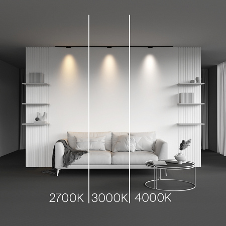 Трековый магнитный светодиодный светильник Maytoni Levity Points TR193-1-5W2.7K-M-B