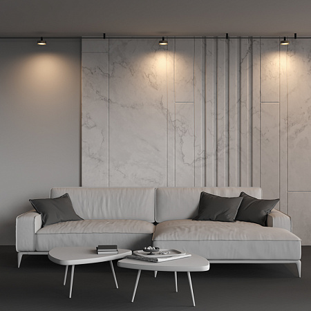 Трековый магнитный светодиодный светильник Maytoni Flexity Zon TR204-1-12W3K-BBS Трековый магнитный светодиодный светильник Maytoni Flexity Zon TR204-1-12W3K-BBS