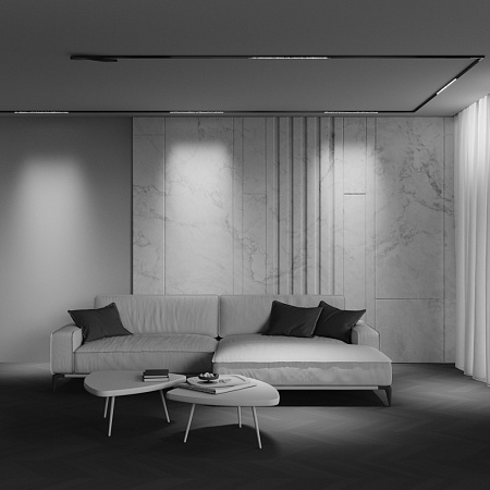 Трековый магнитный светодиодный светильник Maytoni Exility X Points TR241-2-12W4K-B