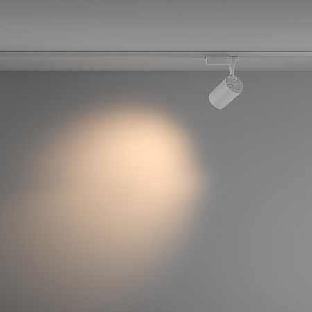 Трековый однофазный светодиодный светильник Maytoni Unity Vuoro TR003-1-15W3K-M-W