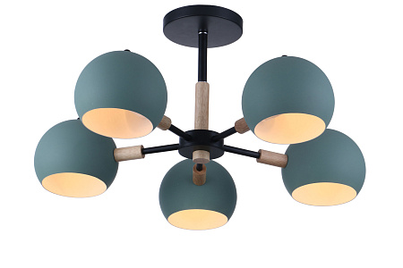 Люстра на штанге Freya Trisha FR5032CL-05B