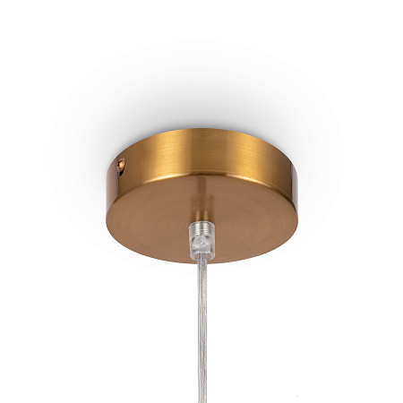 Светильник подвесной Freya Focus FR5220PL-01G6