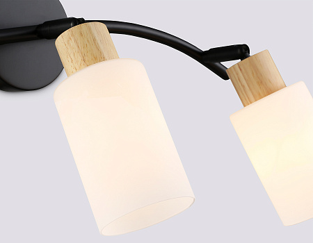 Спот Ambrella light TR8722