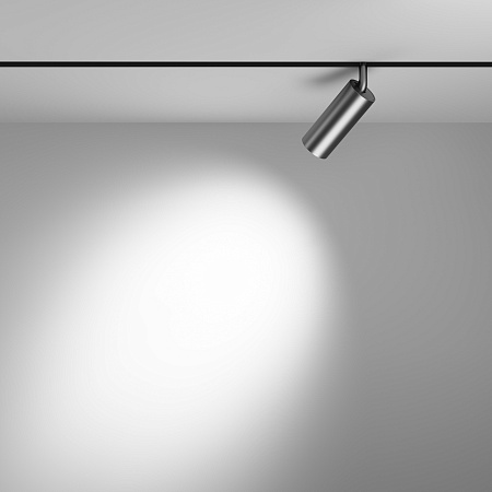 Трековый магнитный светодиодный светильник Maytoni Exility TR032-2-12W4K-S-MG